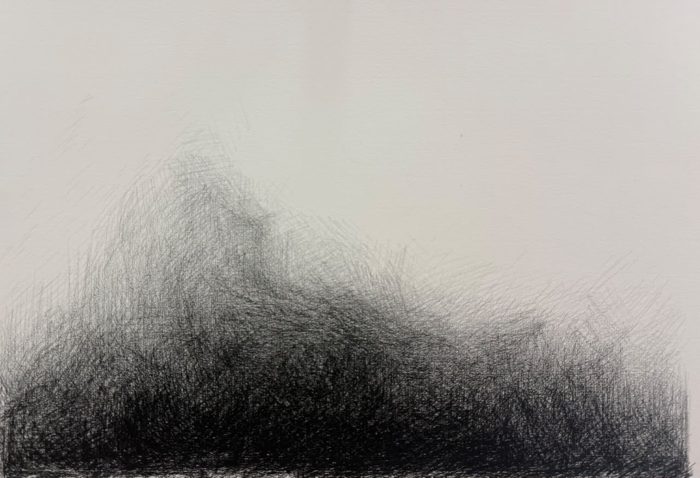 A charcoal study by Honey